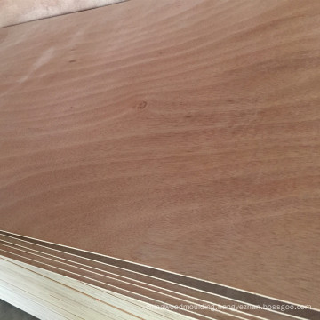 Bintangor door skin 3mm thickness